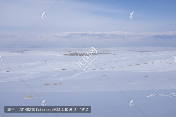 雪原