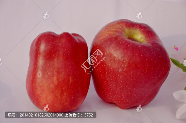 蘋(píng)果