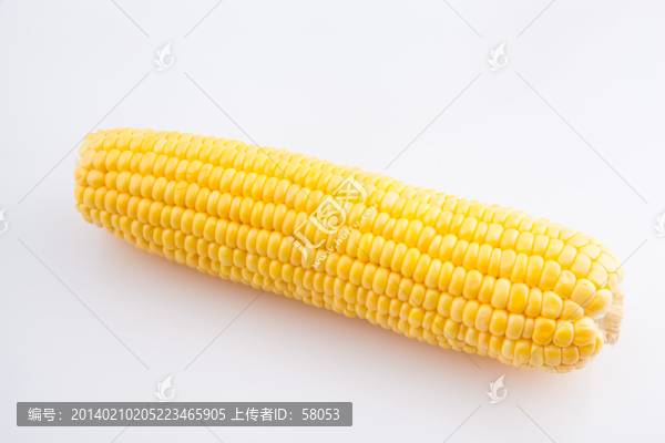 玉米