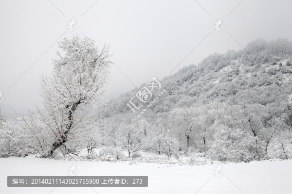 雪景