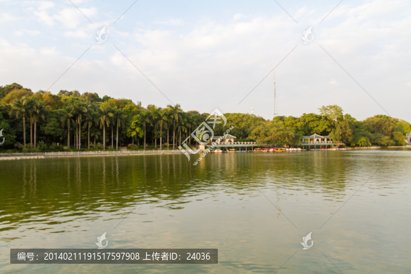 園林景致