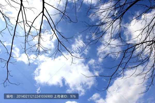 藍(lán)天白云