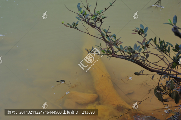 污染一