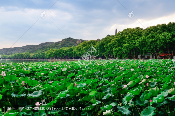 杭州西湖風(fēng)景