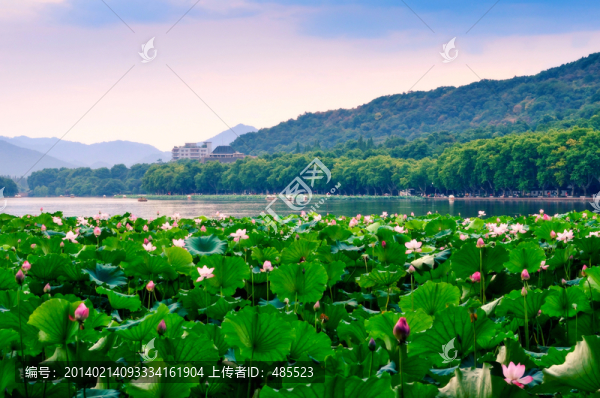 杭州西湖風(fēng)景