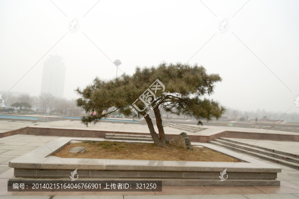 園林景觀