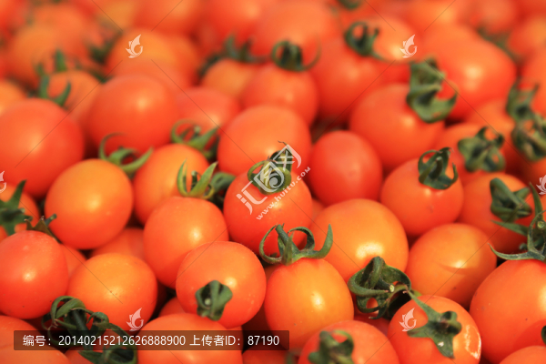西紅柿