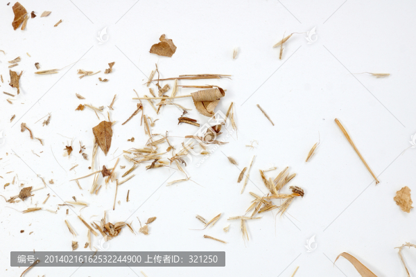 雜草