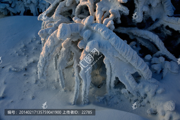 花團(tuán)錦簇