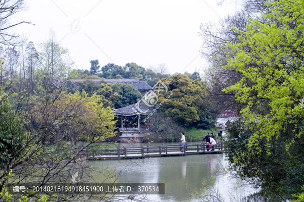 無錫黿頭渚風(fēng)景區(qū),黿頭渚,櫻花