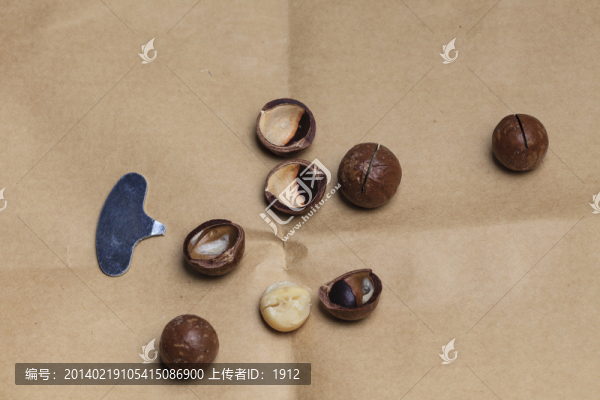澳洲堅(jiān)果
