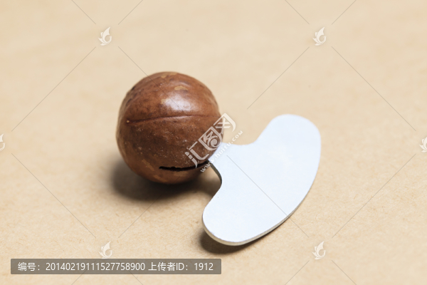 澳洲堅(jiān)果
