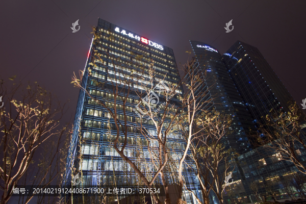 上海,陸家嘴,夜景,高層建筑
