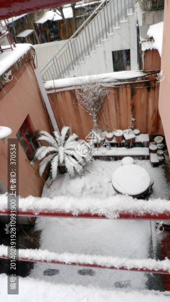 雪景,民居,百姓生活,庭院