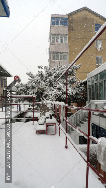 雪景,民居,百姓生活,庭院