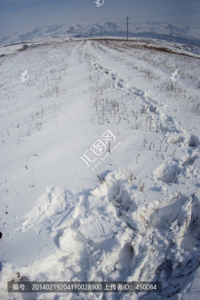 雪地,腳印
