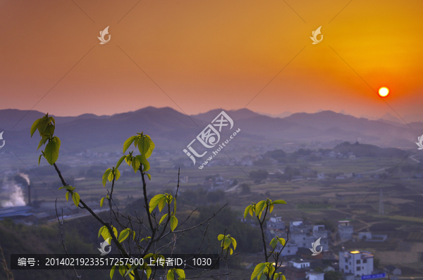 夕照圖