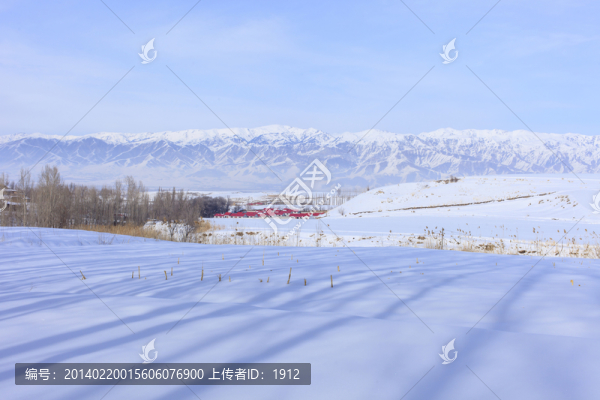 雪原