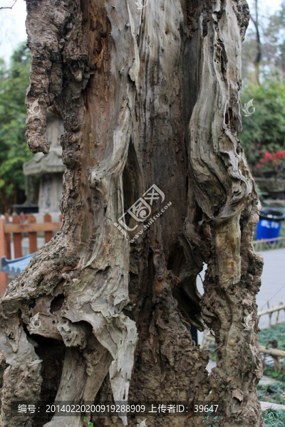 景觀造型