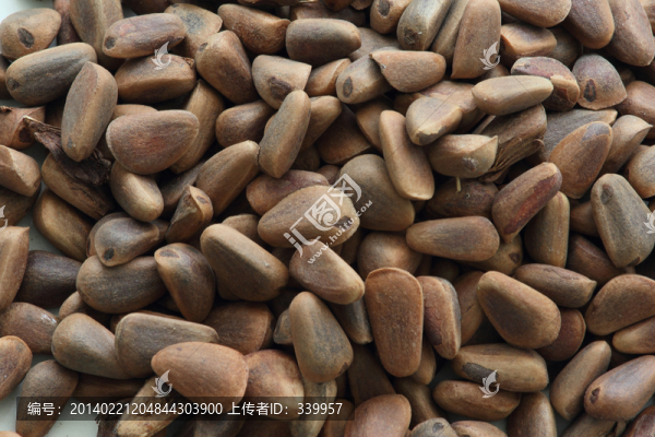 松子,堅(jiān)果