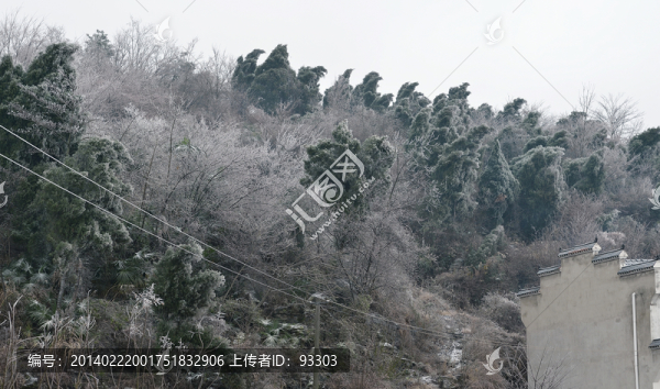 雪景