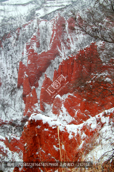風(fēng)雪紅石谷