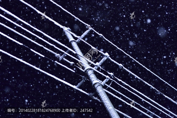 雪花,大雪,雪,雪樹,白雪