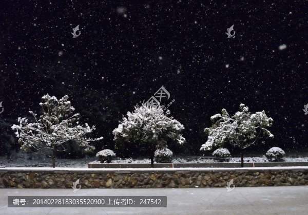 大雪下的園林