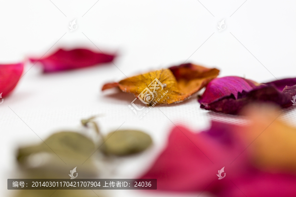 微距,玫瑰花花瓣