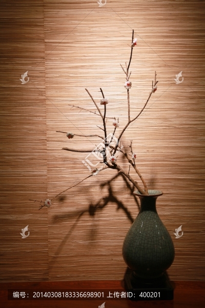 室內(nèi)小景干支梅