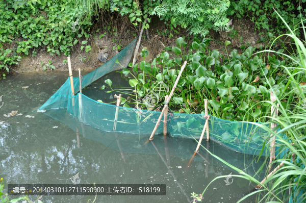 水污染