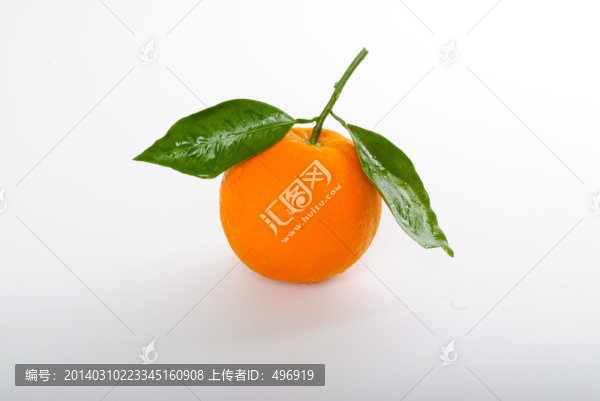 橙子