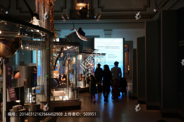 美國(guó)國(guó)家自然歷史博物館