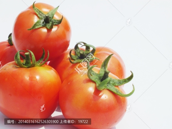 西紅杮圖片