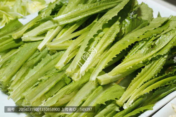 油麥菜