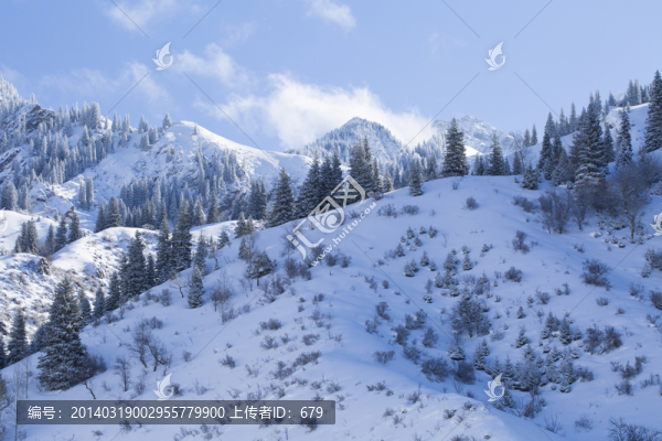 雪山,高原