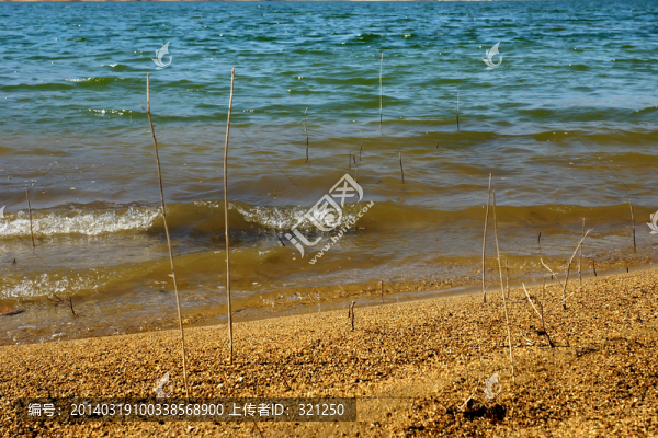 海水,沙灘