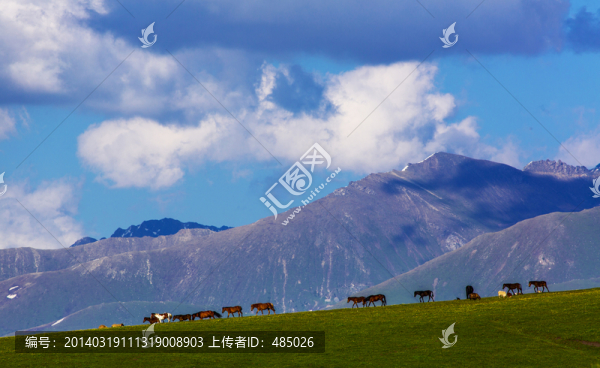 新疆風(fēng)光