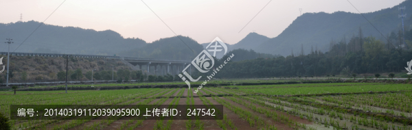 田園風光