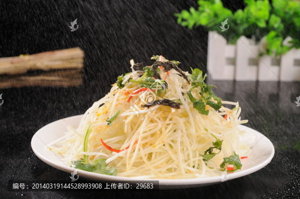綠豆芽