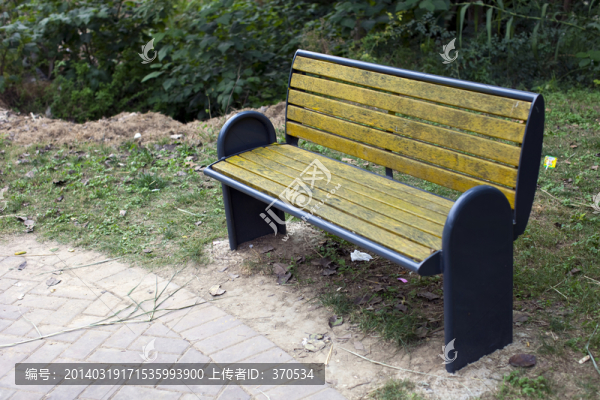 城市公園,柳樹灣,戶外,踏青