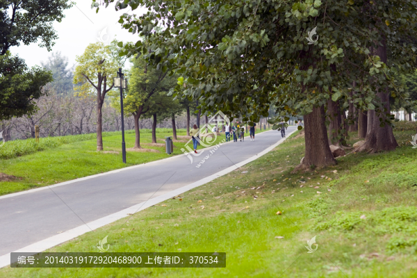 城市公園,柳樹(shù)灣,戶(hù)外,踏青