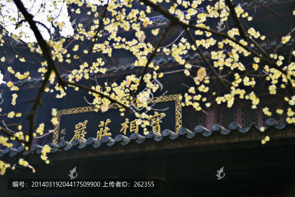 佛教,寶相莊嚴(yán)