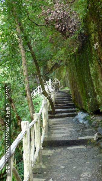 婺原大障山臥龍谷