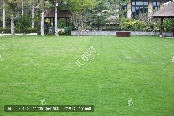 酒店草坪