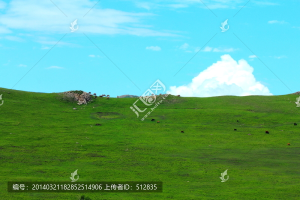 井爾梁