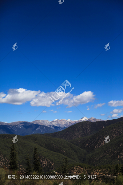 山