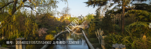 大明湖公園一角