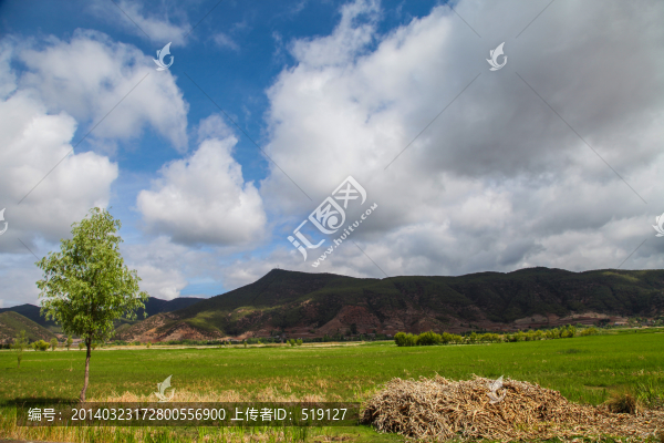 草海濕地