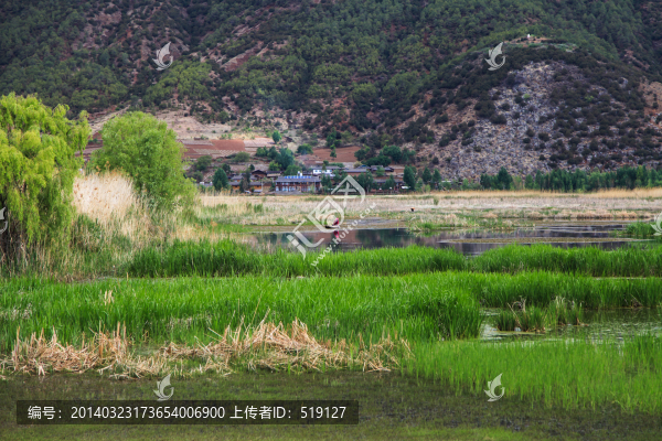 草海